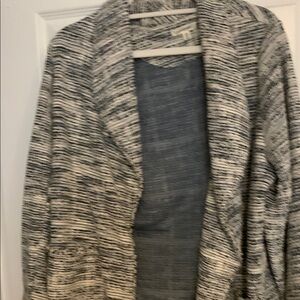 Max Studio Navy and White Textured Knit